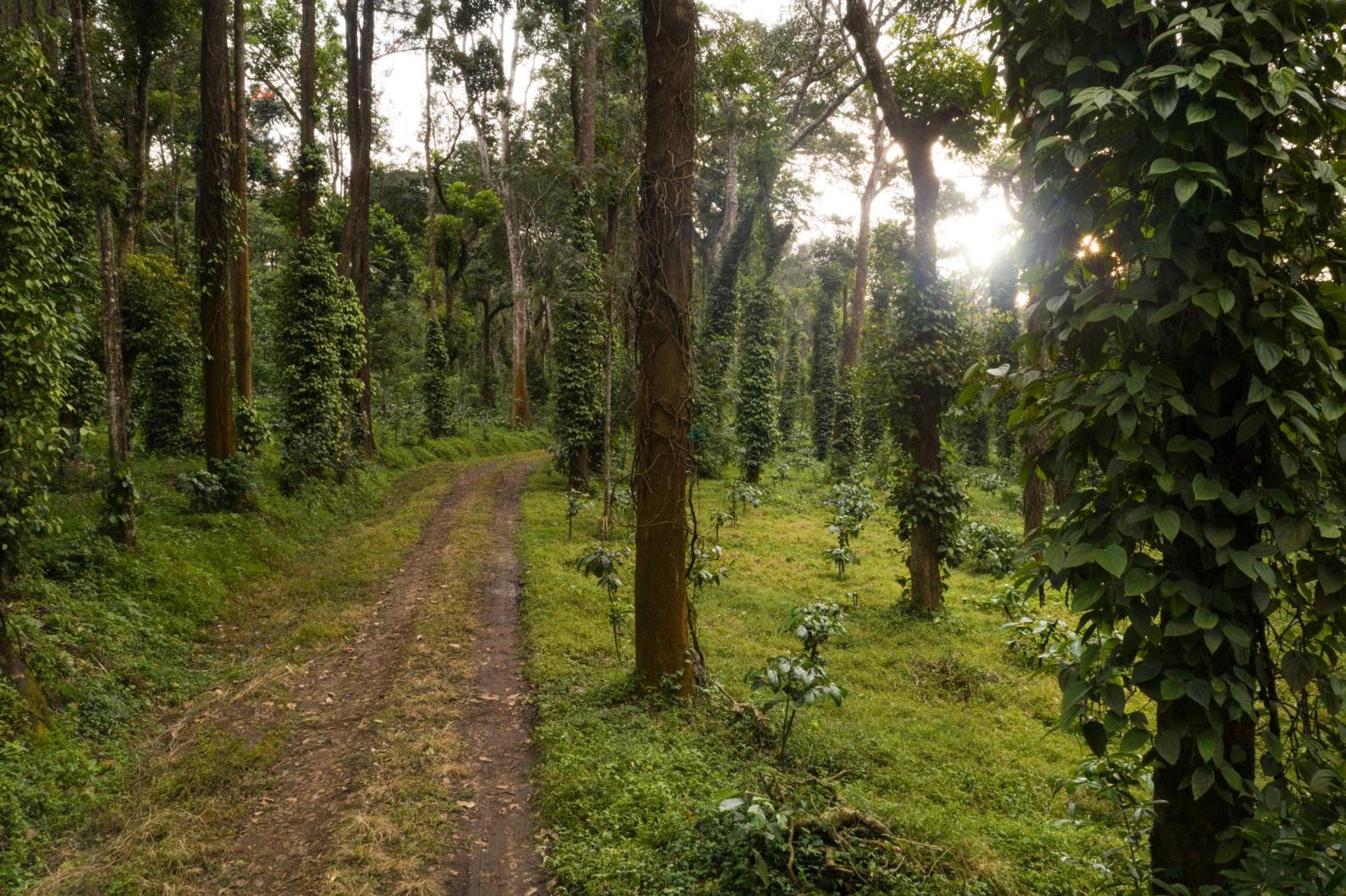Hotel Tusker Trail By Luxunlock Suntikoppa Zewnętrze zdjęcie